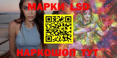 молекула духа Ставрополь