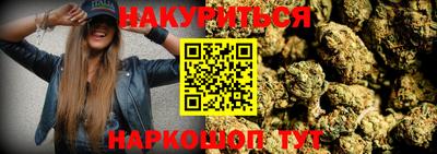 молекула духа Ставрополь
